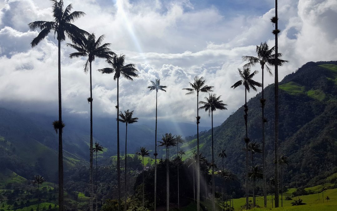 Week 47: Medellin